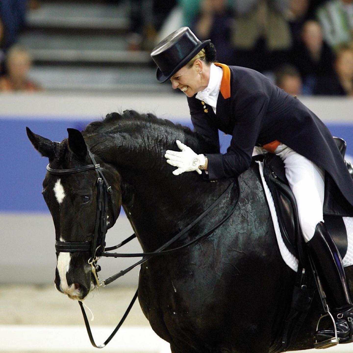 Anky van Grunsven on Salinero